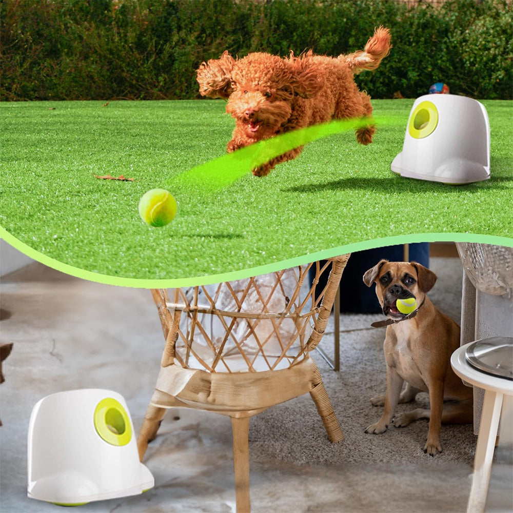 Automatic Electric Tennis Ball Launcher for Pets