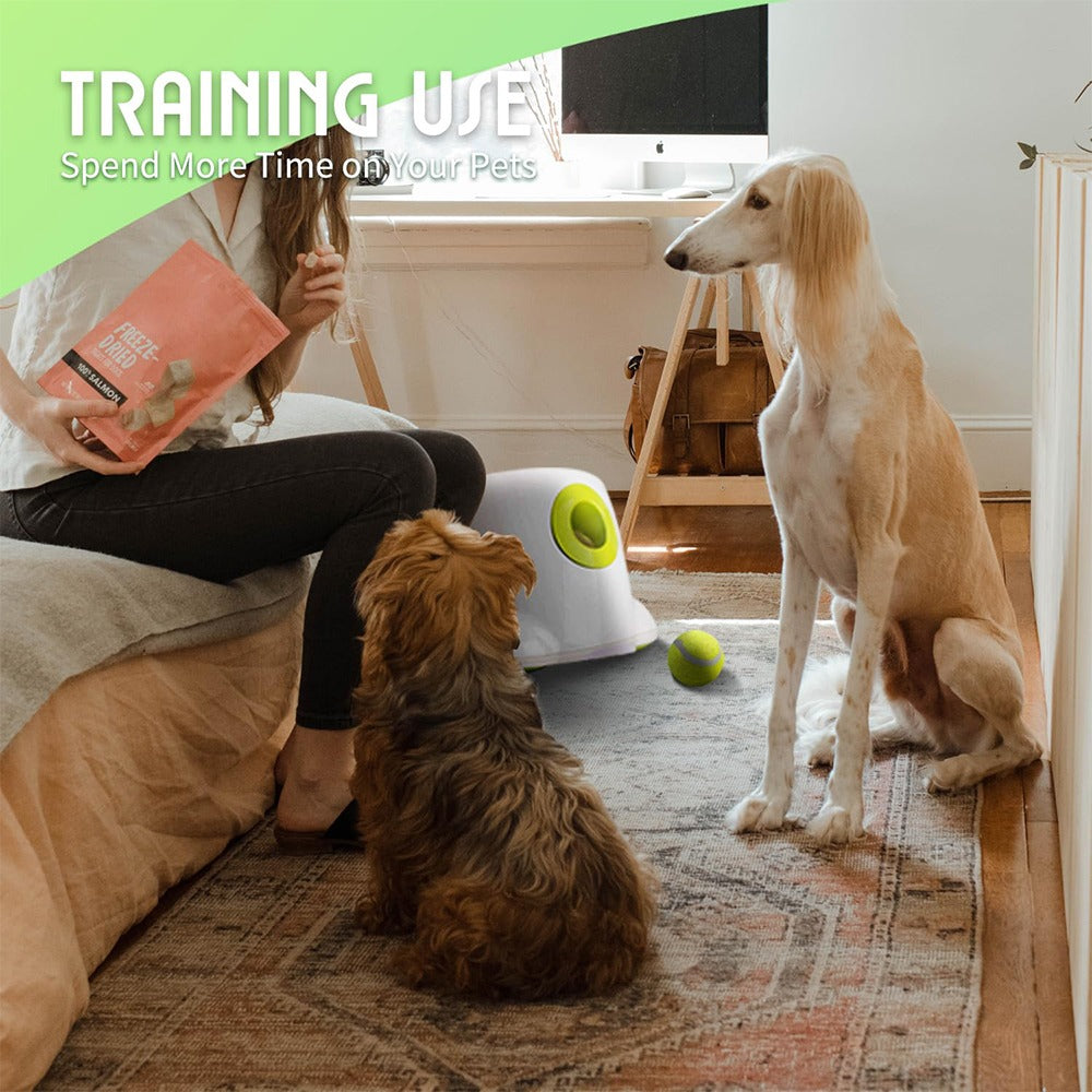 Automatic Electric Tennis Ball Launcher for Pets
