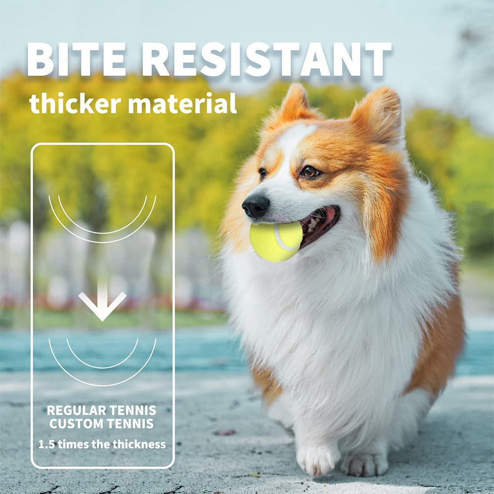 Automatic Electric Tennis Ball Launcher for Pets