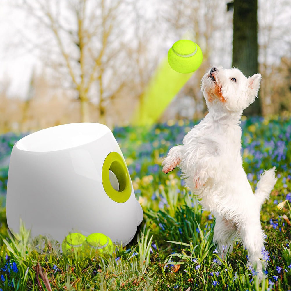 Automatic Electric Tennis Ball Launcher for Pets